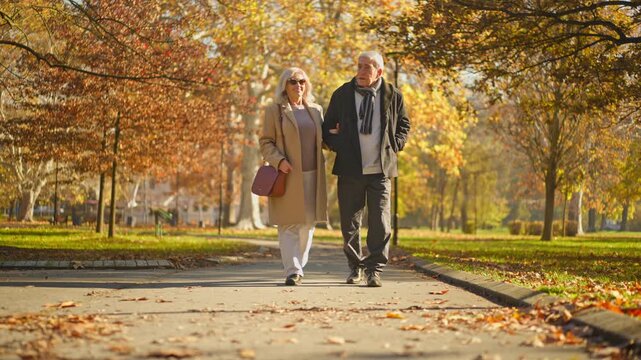 Elderly couple walking arm in arm through a park during autumn with colorful leaves