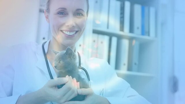 Vertical video: Camera pulling back, vet in coat with stethoscope holding kitten at clinic to calm