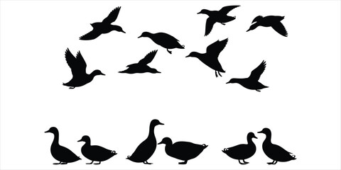 Silhouettes of flying and standing ducks and geese on a white background goose bird © Mst