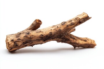 A gnarled brown tree branch with knots and rough bark lies on a white surface casting a subtle shadow