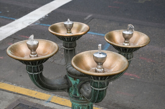 USA, Oregon, Portland.  Multi headed water fountain.