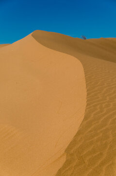 Mexico, Sonora, Rocky Point, Puerto Penasco.  Pinacate Biosphere Reserve.  Dune Sea to the west of the craters.
