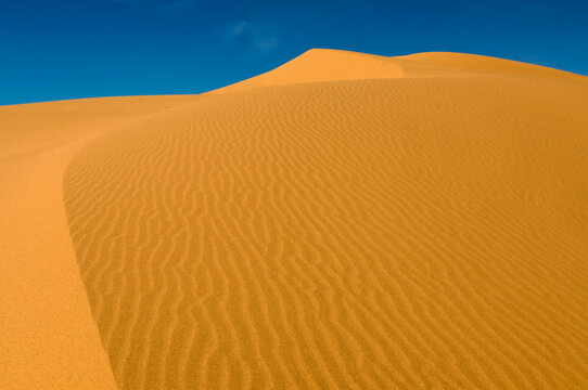 Mexico, Sonora, Rocky Point, Puerto Penasco.  Pinacate Biosphere Reserve.  Dune Sea to the west of the craters.