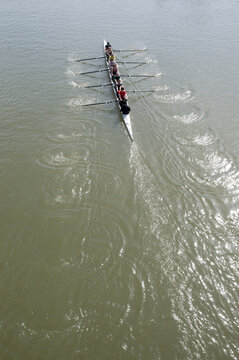Canada, BC, Fort Langley.  A group of rowers rowing an 8 in the Fraser River.