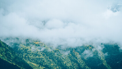 Professional landscape photography capturing a lush mountain forest with vibrant autumn foliage, shrouded in ethereal mist, in the Sichuan-Xizang border region of Garze, Sichuan, China. This serene hi © 浩亮 马