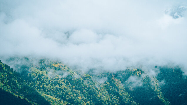 Professional landscape photography capturing a lush mountain forest with vibrant autumn foliage, shrouded in ethereal mist, in the Sichuan-Xizang border region of Garze, Sichuan, China. This serene hi