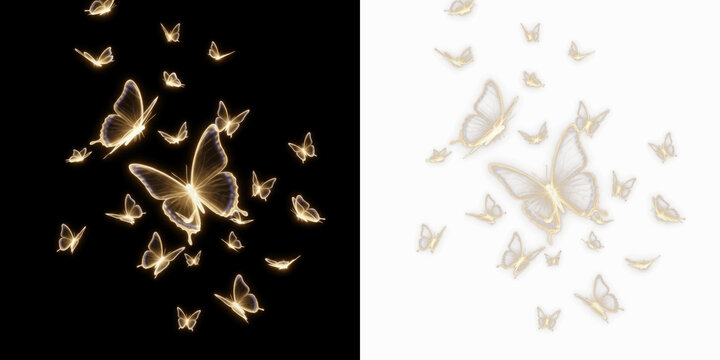 Floating luminous butterflies silhouette isolated on black background, glowing butterfly outlines in flight, magical light butterflies effect for fantasy, nature, and mystical design visuals