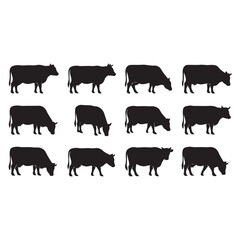 farm  cow animals collection vector