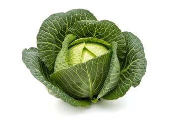 Fototapeta premium Fresh green cabbage head isolated on white background for food and health concepts