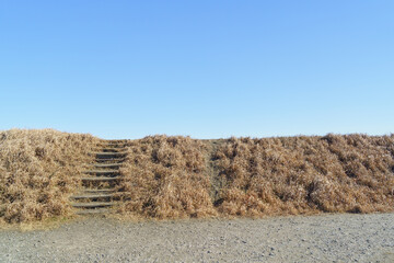 冬の青空と土手の階段