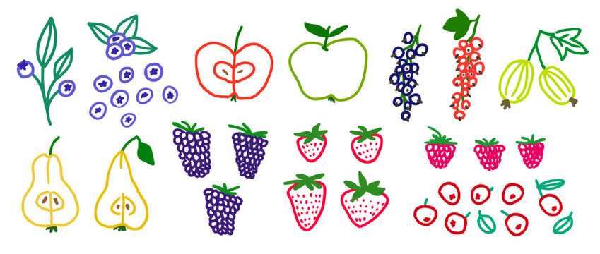 Colored hand drawn fruits and berries set. Crayon doodle apple, strawberry, pear, blueberry. Vector chalk pastel childish drawing. Brush stroke outline sketch collection for icon, menu, sticker, label