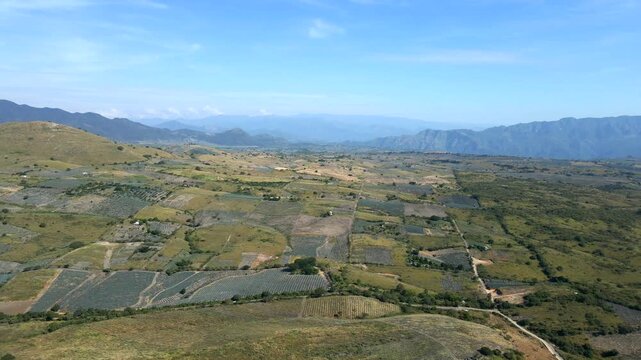 Aerial view of lush blue agave fields in Tequila, Mexico, under blue sky