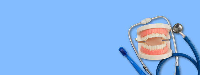 Model mouth with dental tools placed on a blue surface