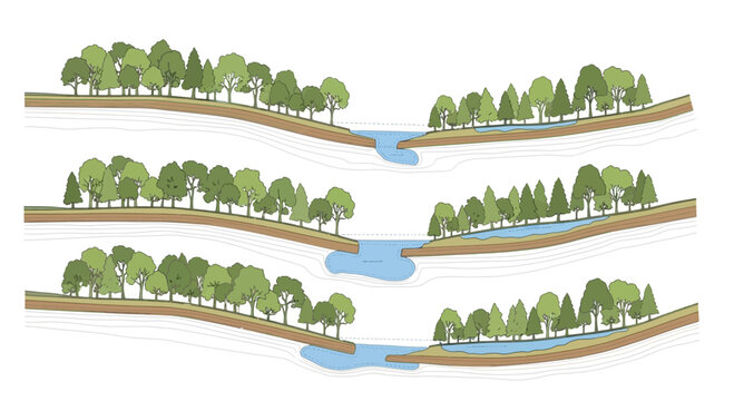 River erosion process, cross-section view of riverbank cutting and widening over time