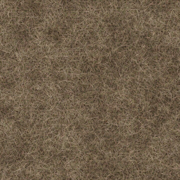 dry_grass 4k pbr wallpaper background, backdrop Texture for Architectural 3D rendering