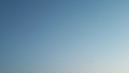 Clear blue sky with bird flying alone