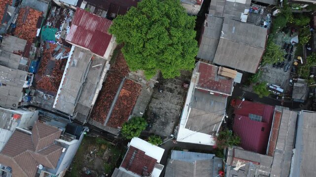 Top Down Drone View of Houses and Green Tree Between Buildings
