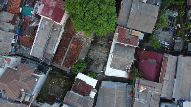 Top Down Drone View of Houses and Green Tree Between Buildings
