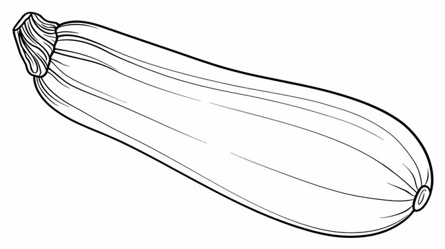 Line Drawing of a Fresh Zucchini Vegetable.