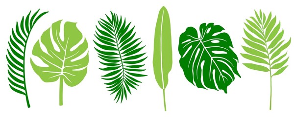 Tropical Green Leaves Collection Vector Illustration © SasubuArt