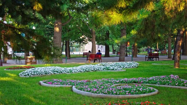 Beijing Park Garden with Flowers, Trees and Benches