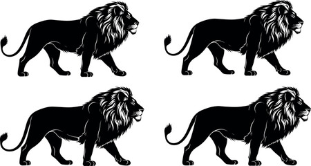 Lion silhouette collection showing powerful wild animal walking poses detailed mane predator symbol of strength wildlife nature vector illustration set © SreemotiArponaBala
