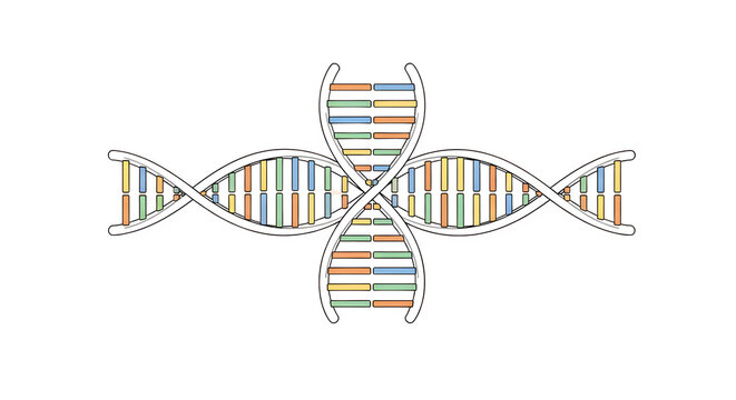 Colorful DNA double helix structure illustration