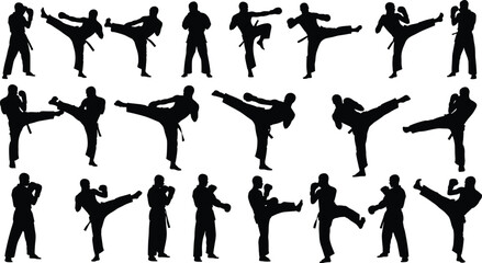 Martial arts silhouettes set showing karate fighters performing high kicks combat stances training poses isolated black vector illustration © All in one