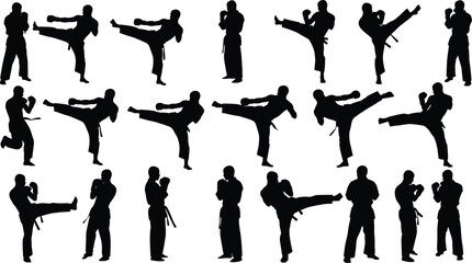 Martial arts silhouettes collection showing karate kick fighting stances combat training poses isolated black vector illustration set for sport design © All in one
