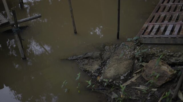 Temporary Fishermen Walkway During High Flood Season, A compelling video of a makeshift walkway over floodwaters, capturing rural resilience and local wisdom, for documentary and social awareness.