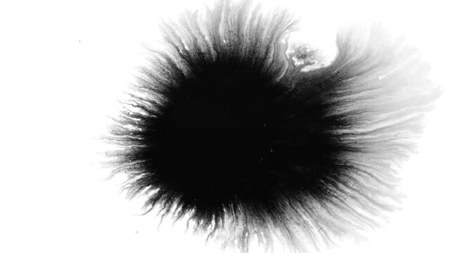Deep black ink spreads on white, creating bold, textured visuals. Perfect for cinematic titles, transitions, or luma mattes in motion graphics and film projects with a dramatic, moody effect.