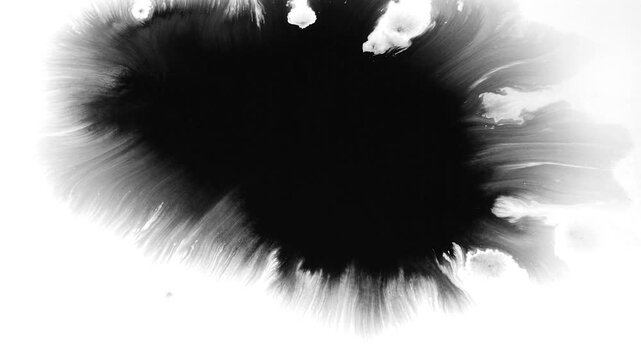 Deep black ink spreads on white, creating bold, textured visuals. Perfect for cinematic titles, transitions, or luma mattes in motion graphics and film projects with a dramatic, moody effect.