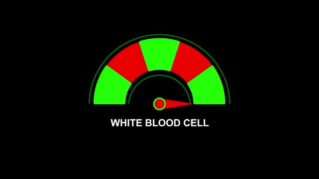 White Cell Count Gauge Animation Healthcare Medical Indicator Gauge Test Level Low Monitoring Health Status