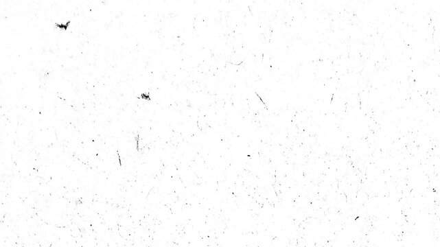 White Grunge Texture Background with Black Scratches and Dust Noise Overlay.Animated white grunge background with black scratches, dust