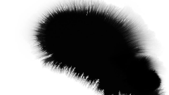 Deep black ink spreads on white, creating bold, textured visuals. Perfect for cinematic titles, transitions, or luma mattes in motion graphics and film projects with a dramatic, moody effect.