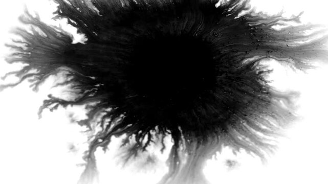 Deep black ink spreads on white, creating bold, textured visuals. Perfect for cinematic titles, transitions, or luma mattes in motion graphics and film projects with a dramatic, moody effect.
