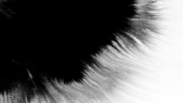 Deep black ink spreads on white, creating bold, textured visuals. Perfect for cinematic titles, transitions, or luma mattes in motion graphics and film projects with a dramatic, moody effect.
