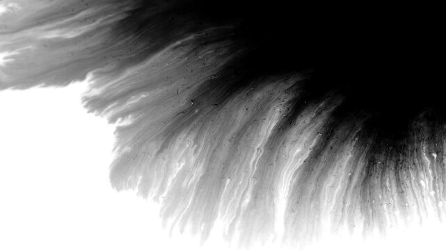 Deep black ink spreads on white, creating bold, textured visuals. Perfect for cinematic titles, transitions, or luma mattes in motion graphics and film projects with a dramatic, moody effect.