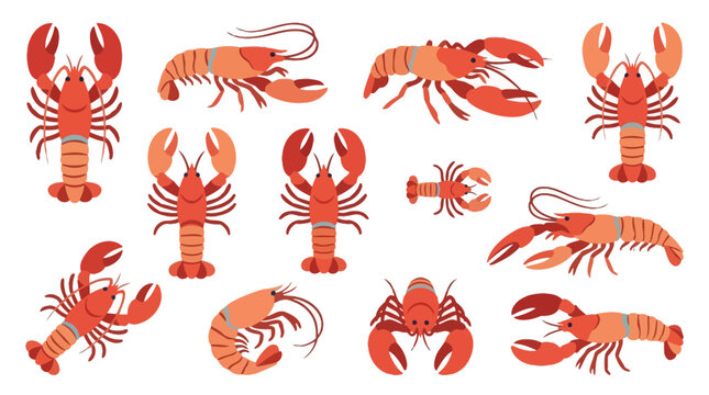 A vibrant collection of stylized illustrations of lobsters and crawfish in various poses and orientations, showcasing their distinctive red and orange exoskeletons and segmented bodies.