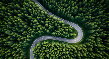 Winding road through dense green forest from above © Itshamza