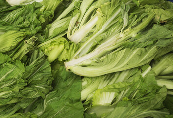 Obraz premium Chinese lettuce vegetables close up 