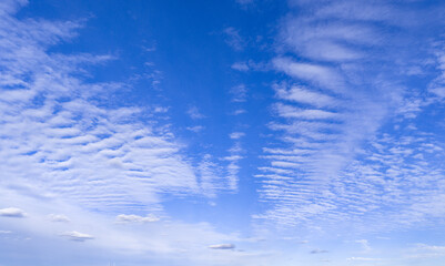 Fototapeta premium Peaceful and serene sky with clouds background. Two layers of cloudiness. Calm abstract sky backdrop. Horizon air gradient and calm sunlight. Blue sky with fluffy clouds wallpaper.
