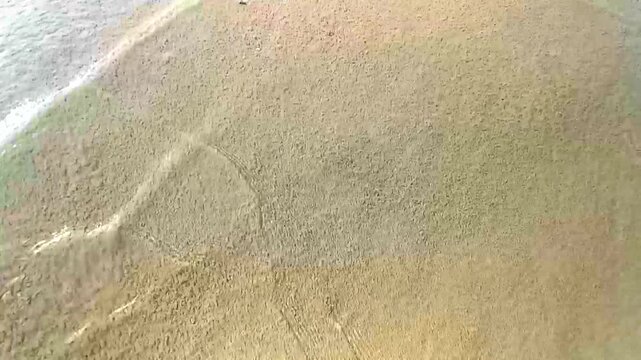 Beach sand with pebbles colorful shells mussels water texture pattern.