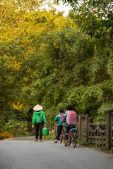 Fototapeta premium In Trang An, Ninh Binh, Vietnam. two children bike to school as their mother walks alongside them. The family is traveling on a rural road in the countryside.
