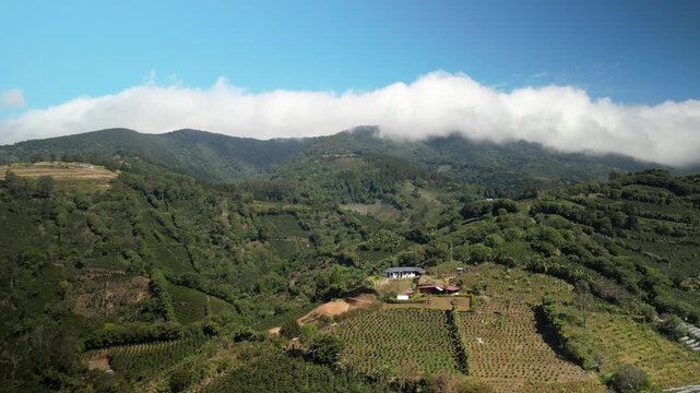 Aerial of farms and crops near Sarchi Costa Rica in Poas Volcanic region with sunny blue sky