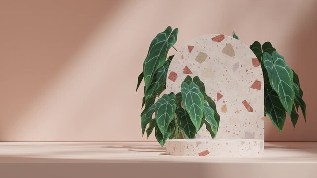 red terrazzo podium seamless shadow animation looping with green anthurium leaf houseplant, 3d footage render blank mockup
