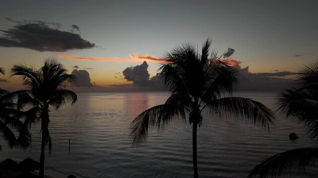 Palm trees Cozumel Quintana Roo Drone left cloudy sunset