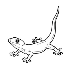 Fototapeta premium Lizard with long tail and webbed feet standing on white background