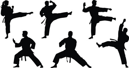 Silhouette martial arts poses, karate kicks, taekwondo stances, dynamic movement, athletic training, combat sport, discipline, strength, agility, fitness art © Masum's World