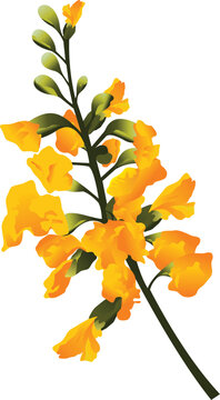 Golden Padauk flower bouquet, Myanmar traditional floral design